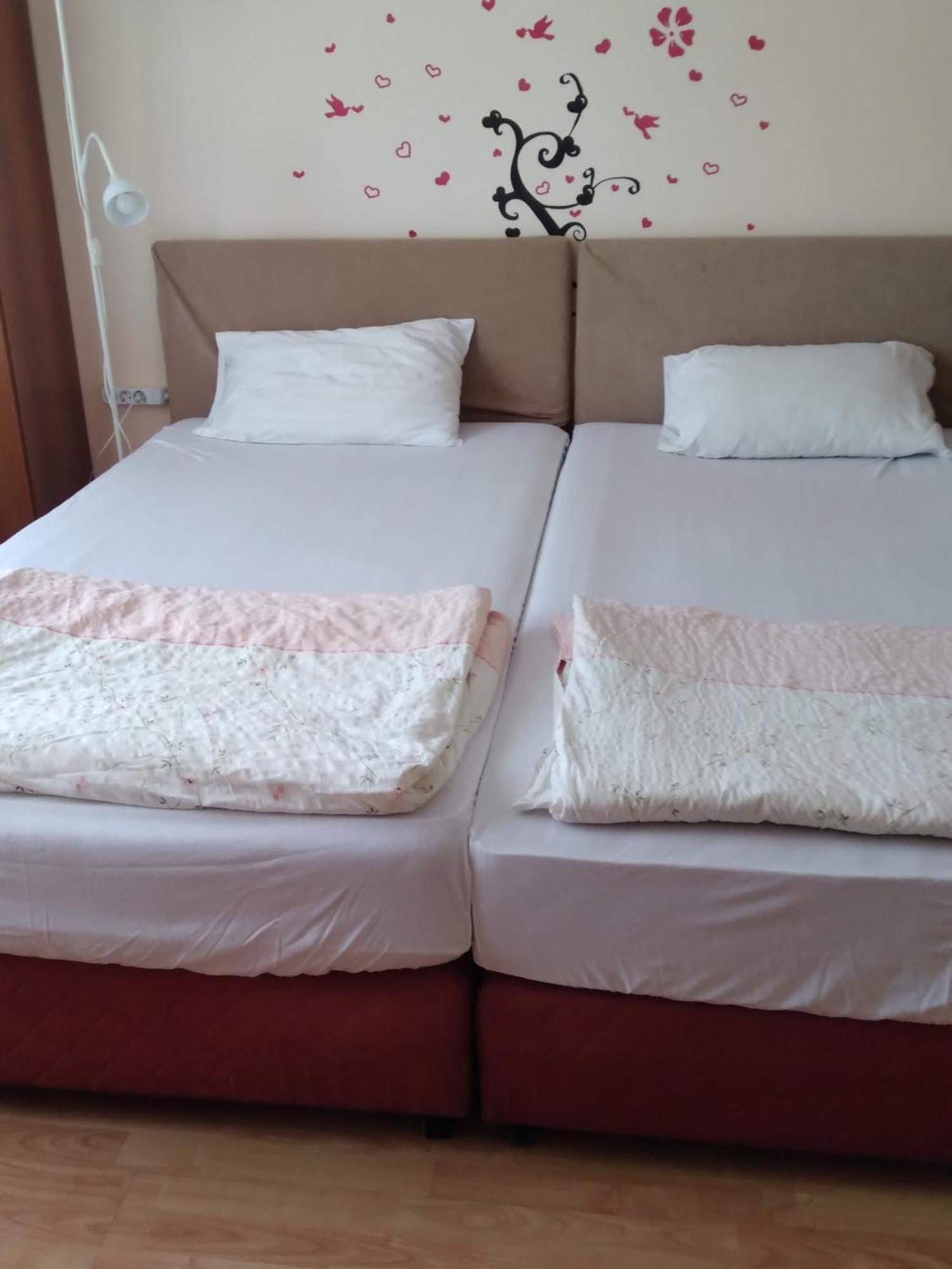Hostel Bata Kanjiža Dış mekan fotoğraf