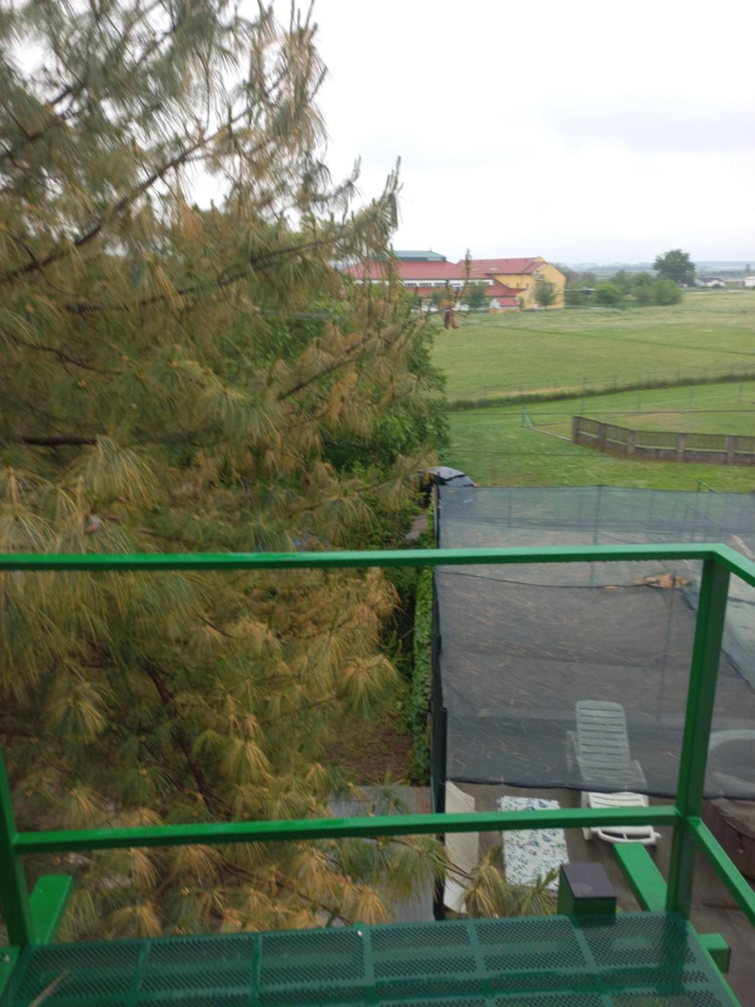 Hostel Bata Kanjiža Dış mekan fotoğraf