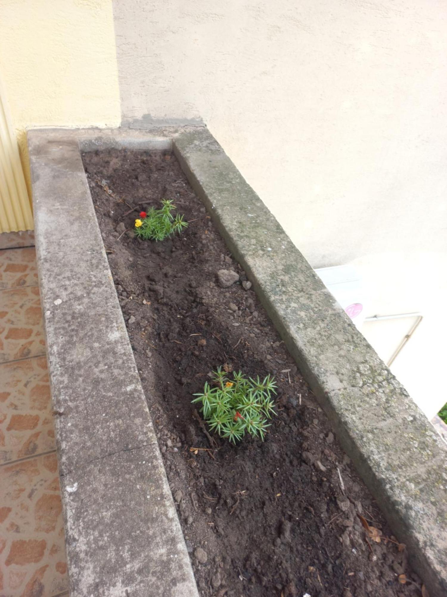 Hostel Bata Kanjiža Dış mekan fotoğraf