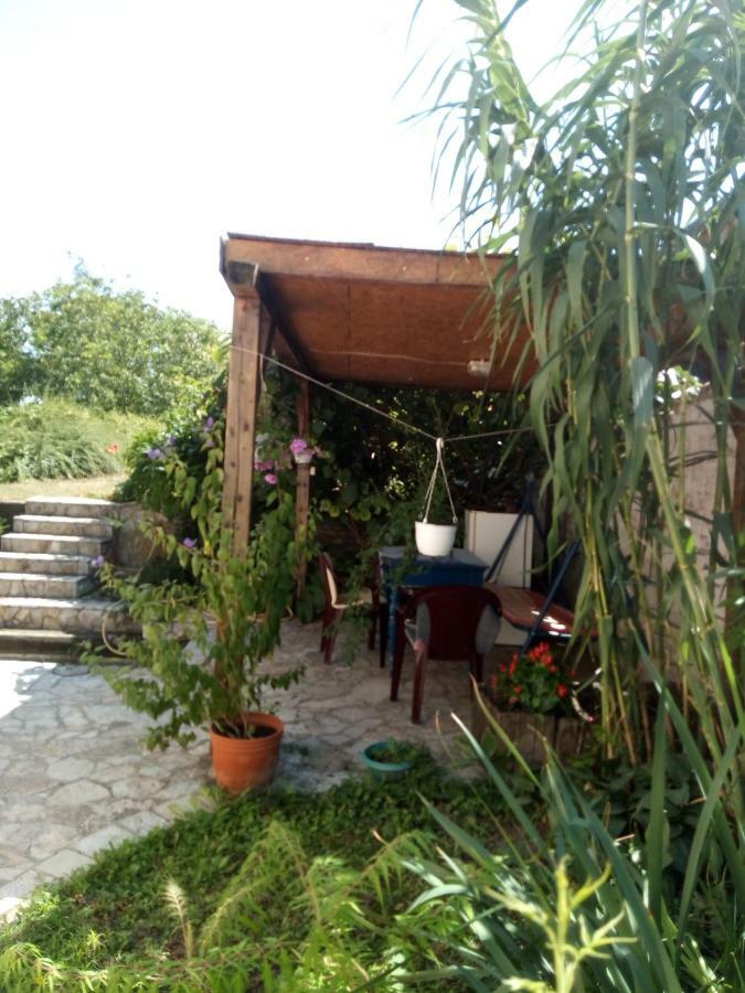 Hostel Bata Kanjiža Dış mekan fotoğraf